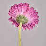 Цветок искусственный "гербера" высота=61см. Lefard (287-563)