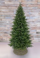 Триумф ель  королевская стройная 100% литая 185 см зеленая (72120)