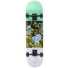 Скейтборд Lemur 31.6"X8" (1969414)