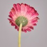 Цветок искусственный "гербера" высота=61см. Lefard (287-562)