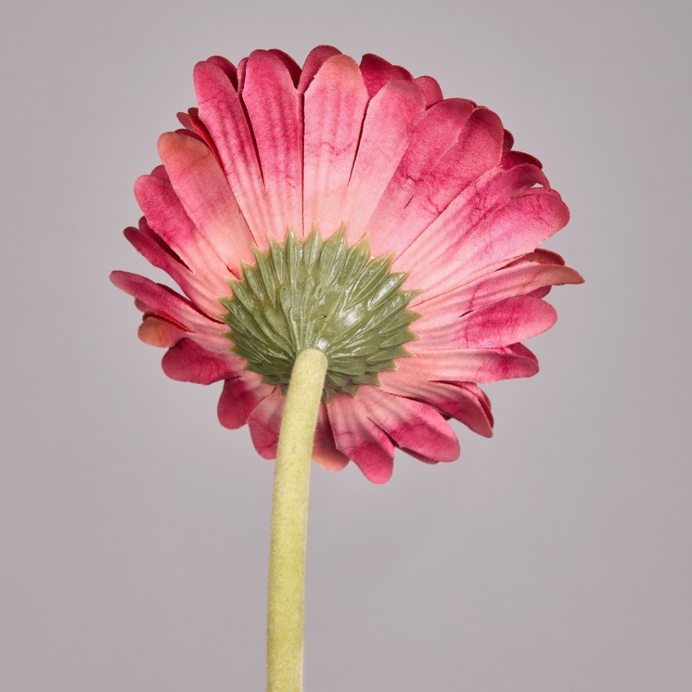 Цветок искусственный "гербера" высота=61см. Lefard (287-562)