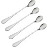 Набор из 4 десертных ложек select (64656)