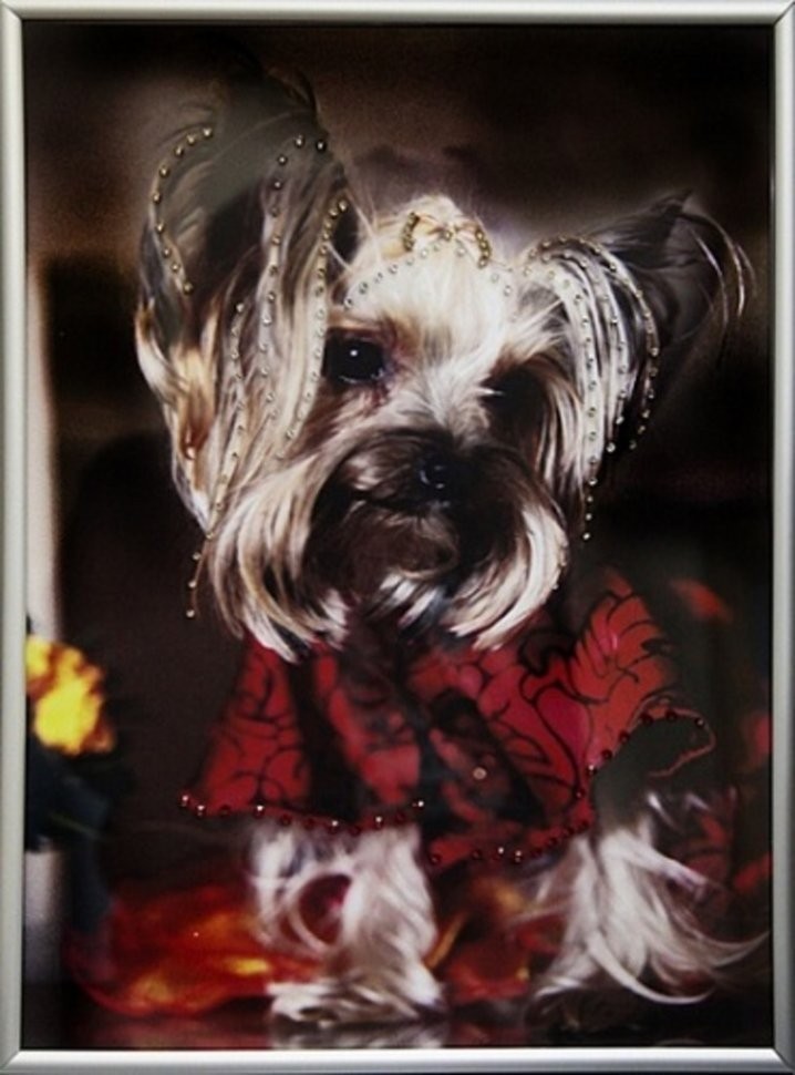 Картина Символ года Йорк 2 с кристаллами Swarovski (2035)