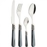 Набор столовых приборов "ginevra black"   на 6 персон 24 пр. Eme (638-014)