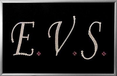 Картина Логотип E.V.S. с кристаллами Swarovski (2308)