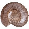 Блюдо "snail" sand 18см Bronco (336-081)
