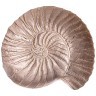 Блюдо "snail" sand 18см Bronco (336-081)