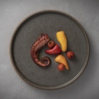 Тарелка RNP172-BRN(RNP172-838), 16,6 см, керамика, OAK, Costa Nova