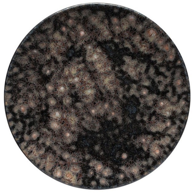 Тарелка RTP221-03118M, 21.5, керамика, Iris, Costa Nova