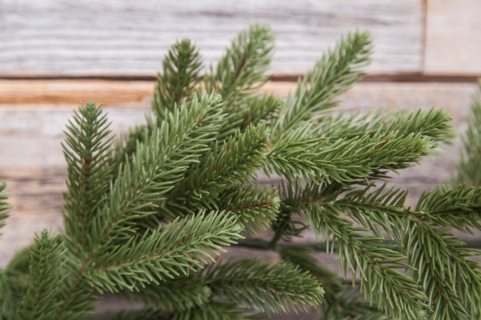 Гирлянда чемберлен 270 см зеленая (74414)