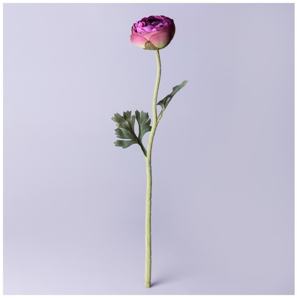 Цветок искусственный "ранункулюс" высота=50см. Lefard (287-539)