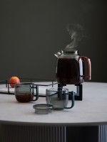 Набор из чайника и 2-х чашек misty (79001)