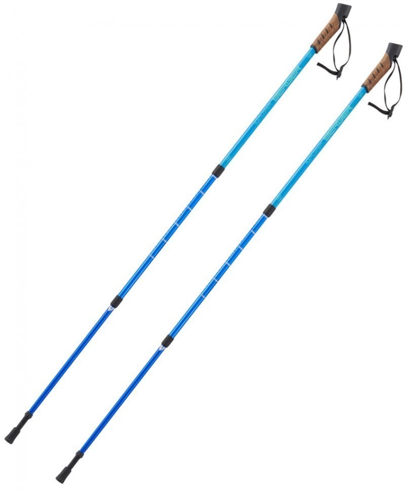 Скандинавские палки Explorer, 67-135 см, 3-секционные, синий (1527734)