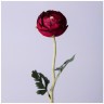 Цветок искусственный "ранункулюс" высота=50см. Lefard (287-540)