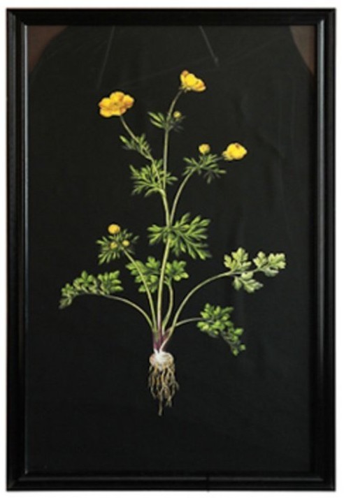 Постер Жёлтый цветок TO-AIBTC381PFFRFTZ, дерево, стекло, mixed, ROOMERS FURNITURE