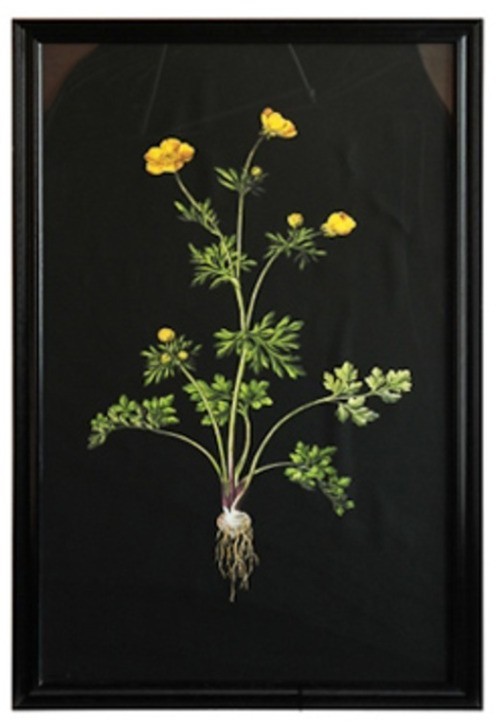 Постер Жёлтый цветок TO-AIBTC381PFFRFTZ, дерево, стекло, mixed, ROOMERS FURNITURE