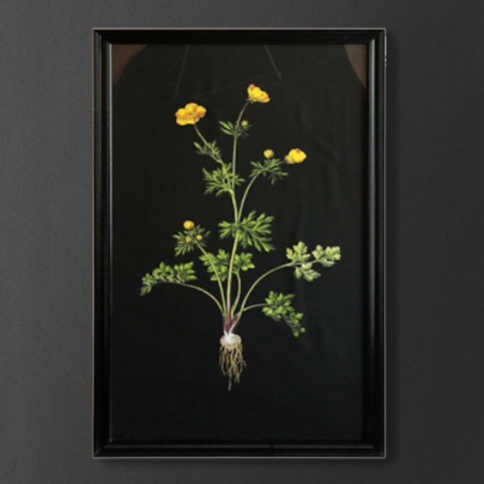 Постер Жёлтый цветок TO-AIBTC381PFFRFTZ, дерево, стекло, mixed, ROOMERS FURNITURE