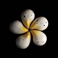 Форма для приготовления конфет goccia-p, 17,5х27,5 см (73861)