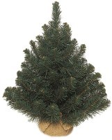 Триумф ель альпийская 45 см в мешочке зеленая (73560)