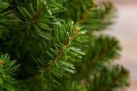 Триумф ель альпийская 45 см в мешочке зеленая (73560)