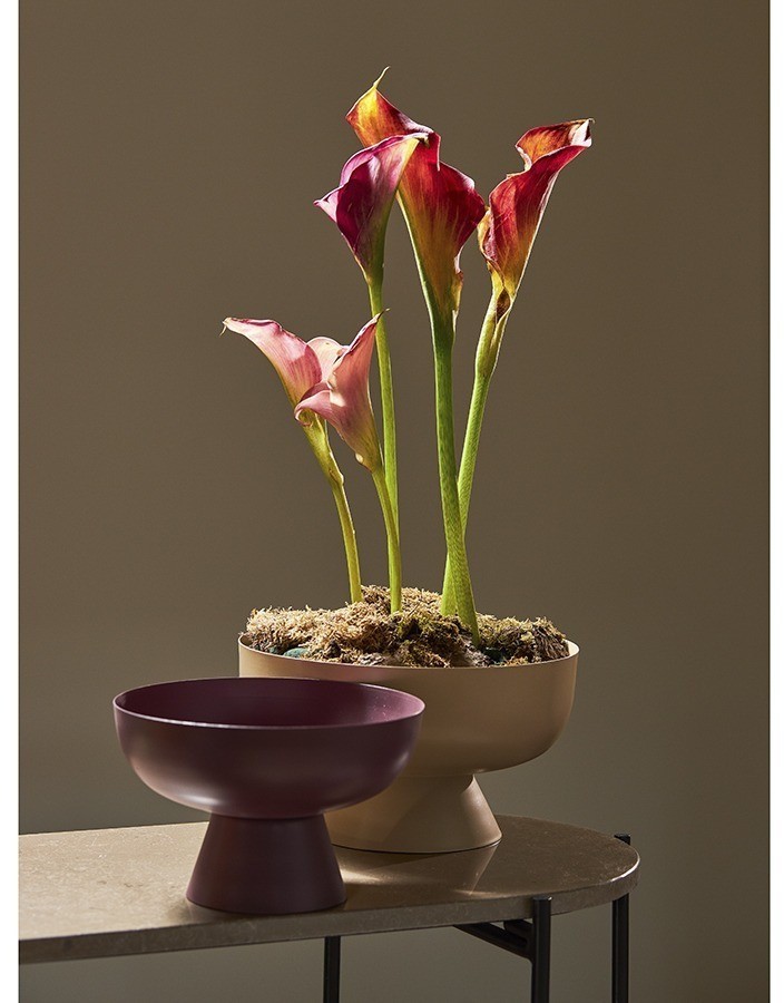 Блюдо на ножке vivlend, D25,5 см, бежевое (76222)