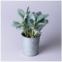 Композиция декоративная &quot;каланхое&quot; высота=23 см Lefard (287-558)