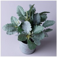 Композиция декоративная &quot;каланхое&quot; высота=23 см Lefard (287-558)