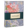 Кпб 2-х сп "пастораль",х\б 100%,оранжевый+серый под 175*215 -1шт., пр 240*240 -1шт., нав 70*70*5-2шт SANTALINO (985-211)
