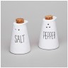 Набор для специй коллекция "kitchen" 2 пр. 6*6*9 см Lefard (157-246)