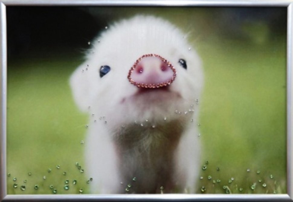 Картина Символ года пятачок с кристаллами Swarovski (2107)