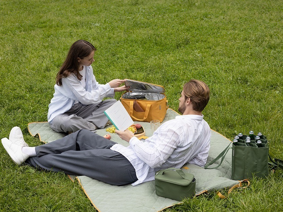 Термосумка для пикника smart picnic, l, горчичная (79197)