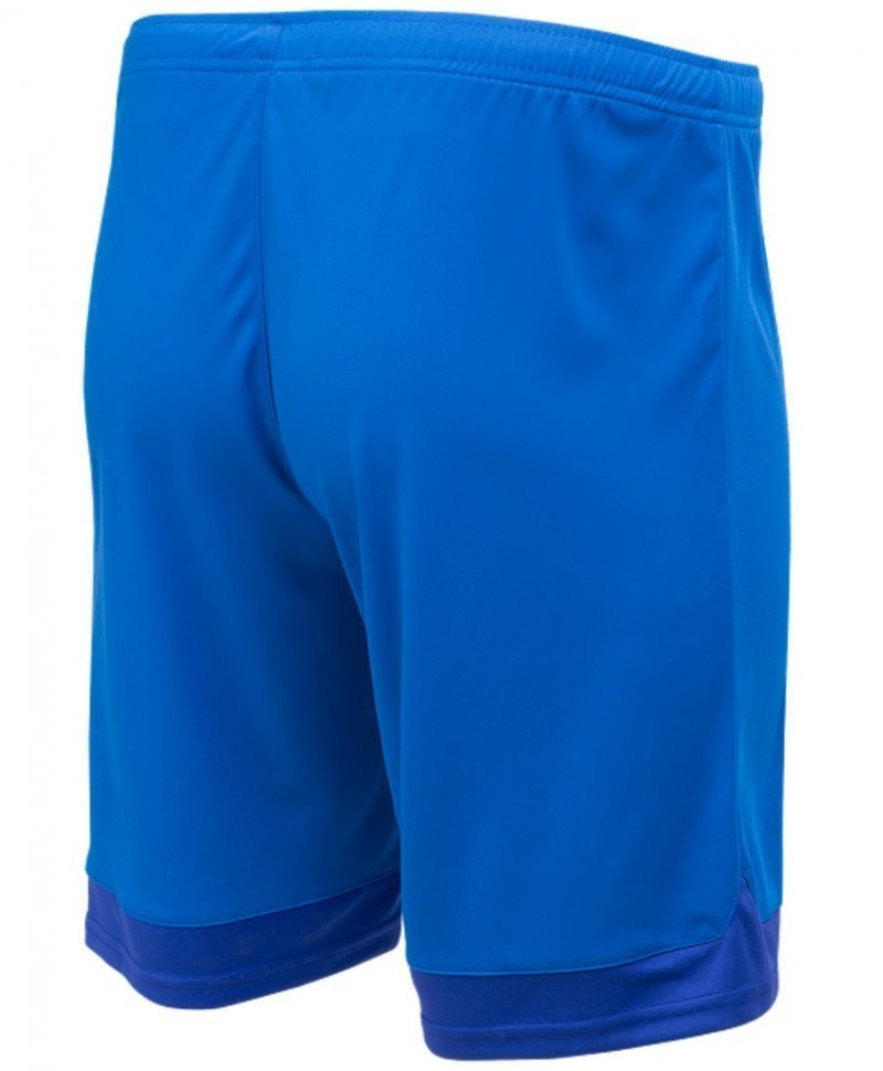 Шорты игровые DIVISION PerFormDRY Union Shorts, синий/темно-синий/белый, детский (1020703)