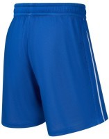 Шорты двухсторонние JOGEL DIVISION PerFormDRY Double-side Shorts, синий/белый (2130722)