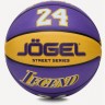 Мяч баскетбольный JOGEL Streets Legend24 №7 (2120928)