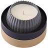 Свеча ароматическая lemon, mandarin & neroli из коллекции edge, серый, 30 ч (75651)