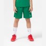 Шорты баскетбольные Camp Basic, зеленый, детский (1619713)